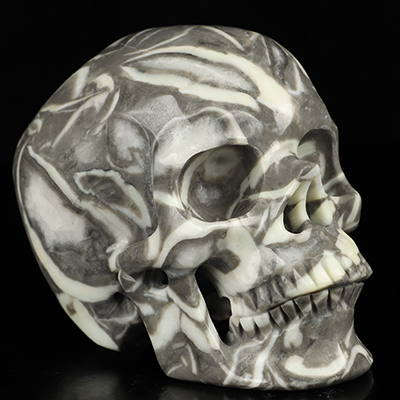 5.0" Sea Shell Marble Hand Carved Crystal Skull, Super Realistic, Crystal Healing