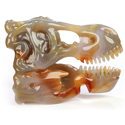 5.3" Premium Brazilian Agate Hand Carved Crystal Tyrannosaurus/dinosaur Skull Sculpture, Crystal Healing