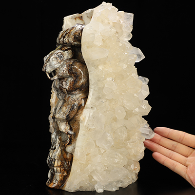 9.8" Quartz rock druse Hand Carved Crystal Skull and Snake Sculpture, Crystal Healing