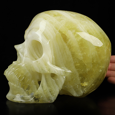 Gemstone Super Realistic! Lifesized 6.5" Citrine Hand Carved Crystal Skull, Crystal Healing