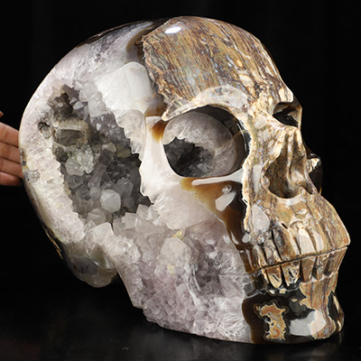 40.7LB Titan 13.0" Dinosaur Egg Agate Hand Carved Crystal Skull, Crystal Healing