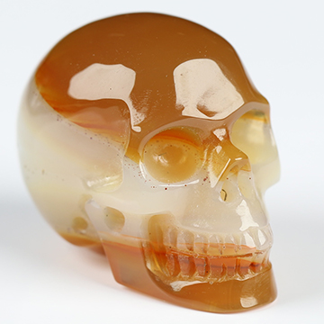 1.1" Carnelian Hand Carved Crystal Skull, Realistic, Crystal Healing