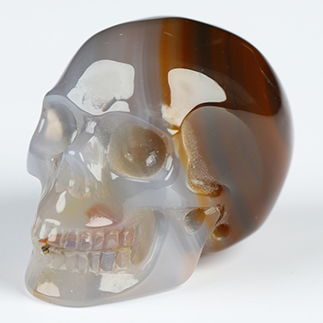 1.1" Agate Hand Carved Crystal Skull, Realistic, Crystal Healing