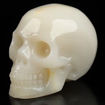 0.8" Shell Hand Carved Crystal Skull, Realistic, Crystal Healing