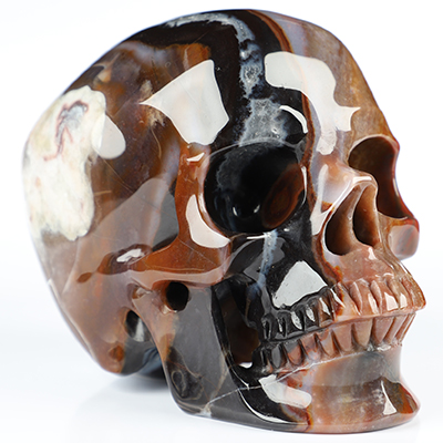 5.1" Black Zebra Agate Hand Carved Crystal Skull, Super Realistic, Crystal Healing