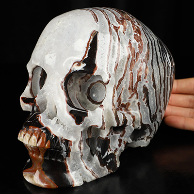 Super Realistic! Lifesized 6.9" Black Zebra Agate Hand Carved Crystal Skull, Crystal Healing