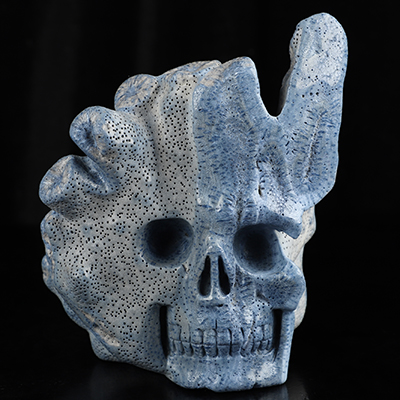6.1" Blue Ridge Coral Hand Carved Crystal Skull Fine Art Sculpture, Crystal Healing