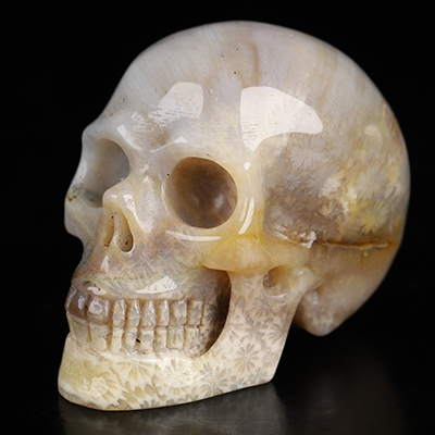 2.0" Coral Fossil Hand Carved Crystal Skull, Realistic, Crystal Healing