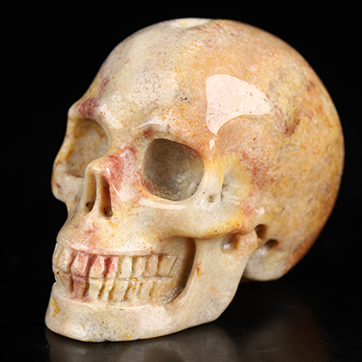 2.0" Coral Fossil Hand Carved Crystal Skull, Realistic, Crystal Healing