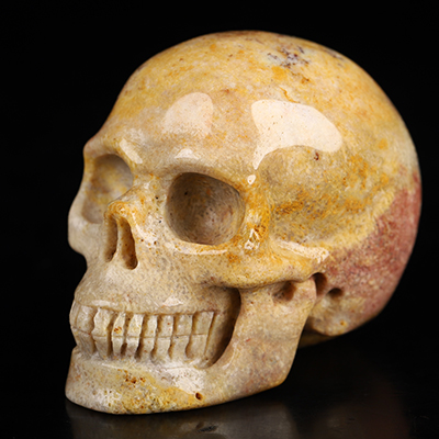 2.0" Coral Fossil Hand Carved Crystal Skull, Realistic, Crystal Healing