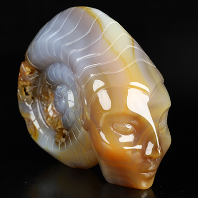 5.0" Premium Brazilian Agate Hand Carved Fairy Elf Alien Ammonite Crystal Skull Companion Sculpture, Crystal Healing