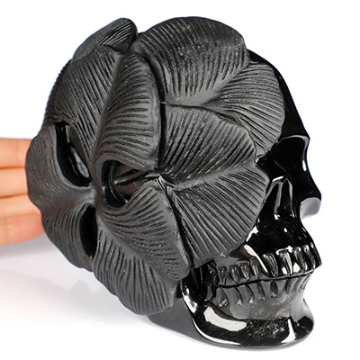 5.9" Frosted Black Obsidian Hand Carved Crystal Skull and Flower Fine Art Sculpture, Crystal Healing