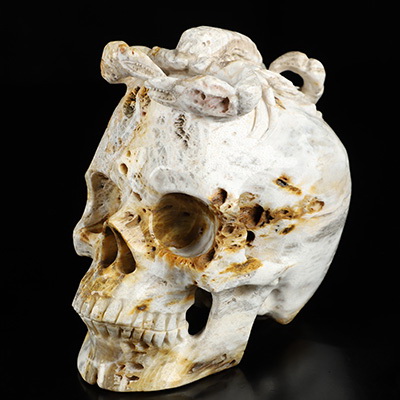5.1" Petrified Wood Hand Carved Crystal Skull and Scorpion Fine Art Sculpture, Crystal Healing