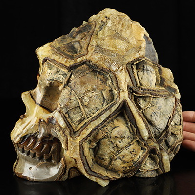 8.2" Dragon Septarian Stone Hand Carved Crystal Skull Fine Art Sculpture, Crystal Healing