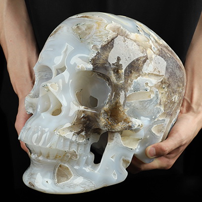 35.9LB Titan 11.8" Sagenitic Agate Hand Carved Crystal Skull, Super Realistic, Crystal Healing