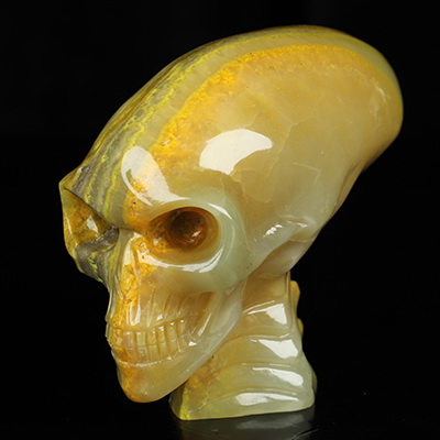 Gemstone 3.6" Bumble Bee Jasper Hand Carved Crystal Elongated Mayan Alien Skull with Spine Sculpture, Crystal Healing