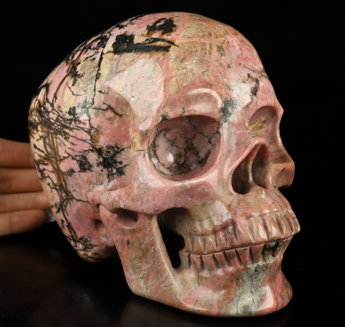 Lifesized 6.9" Pink & Black Rhodonite Hand Carved Crystal Skull, Super Realistic, Crystal Healing