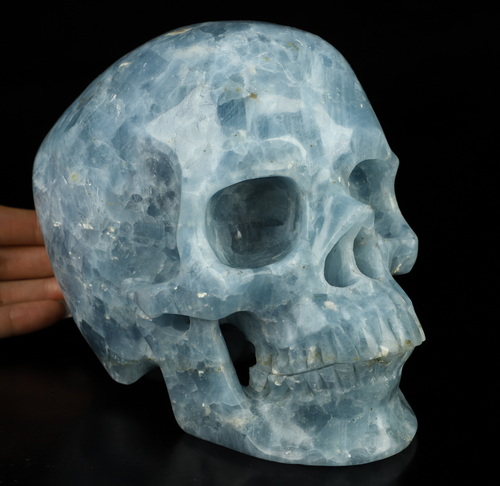 Lifesized 6.9" Blue Calcite Hand Carved Crystal Skull, Super Realistic, Crystal Healing