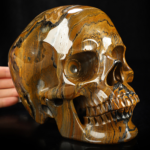 Super Realistic! Lifesized 6.9" Tiger Iron Eye Hand Carved Crystal Skull, Crystal Healing