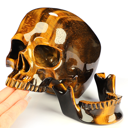6.0" Gold Tiger's Eye Hand Carved Crystal Detachable Skull Sculpture, Crystal Healing