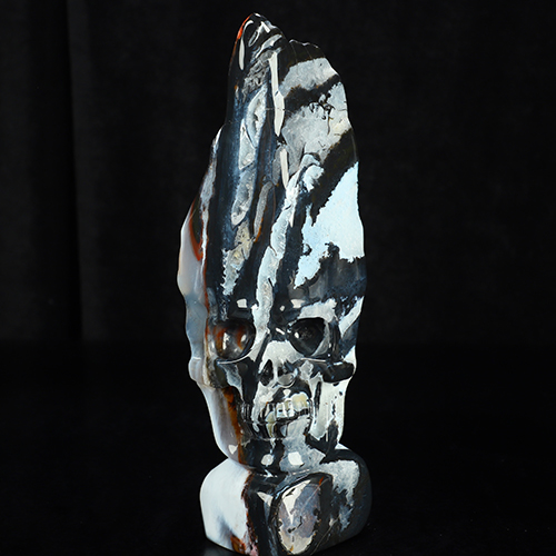 8.3" Black Zebra Agate Hand Carved Crystal Skull Fine Art Sculpture, Crystal Healing