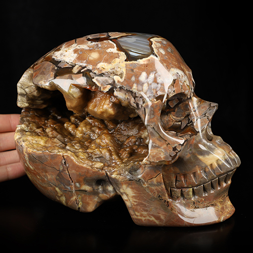 Lifesized 6.8" Dinosaur Egg Agate Hand Carved Crystal Skull, Super Realistic, Crystal Healing
