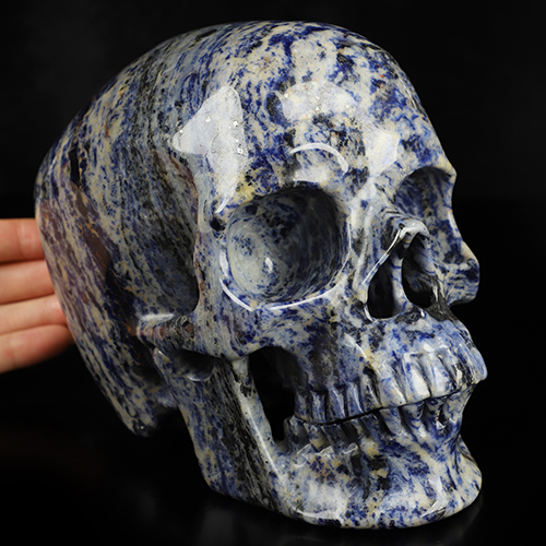 Super Realistic! Lifesized 6.8" Sodalite Hand Carved Crystal Skull, Crystal Healing