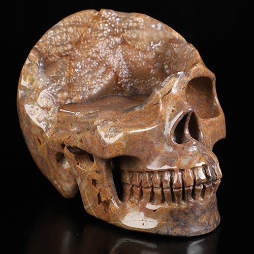 4.7" Dinosaur Egg Agate Hand Carved Crystal Skull, Realistic, Crystal Healing