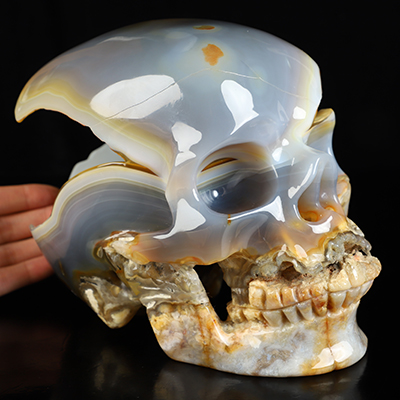 Lifesized 7.7" Agate Geode Hand Carved Crystal Skull, Super Realistic, Crystal Healing