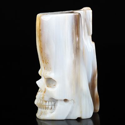 3.3" Petrified Wood Hand Carved Crystal Skull Fine Art Sculpture, Crystal Healing