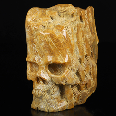 3.5" Coral Fossil Hand Carved Crystal Skull, Crystal Healing