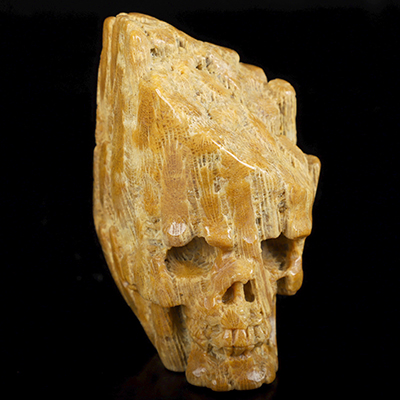 3.8" Coral Fossil Hand Carved Crystal Skull, Crystal Healing