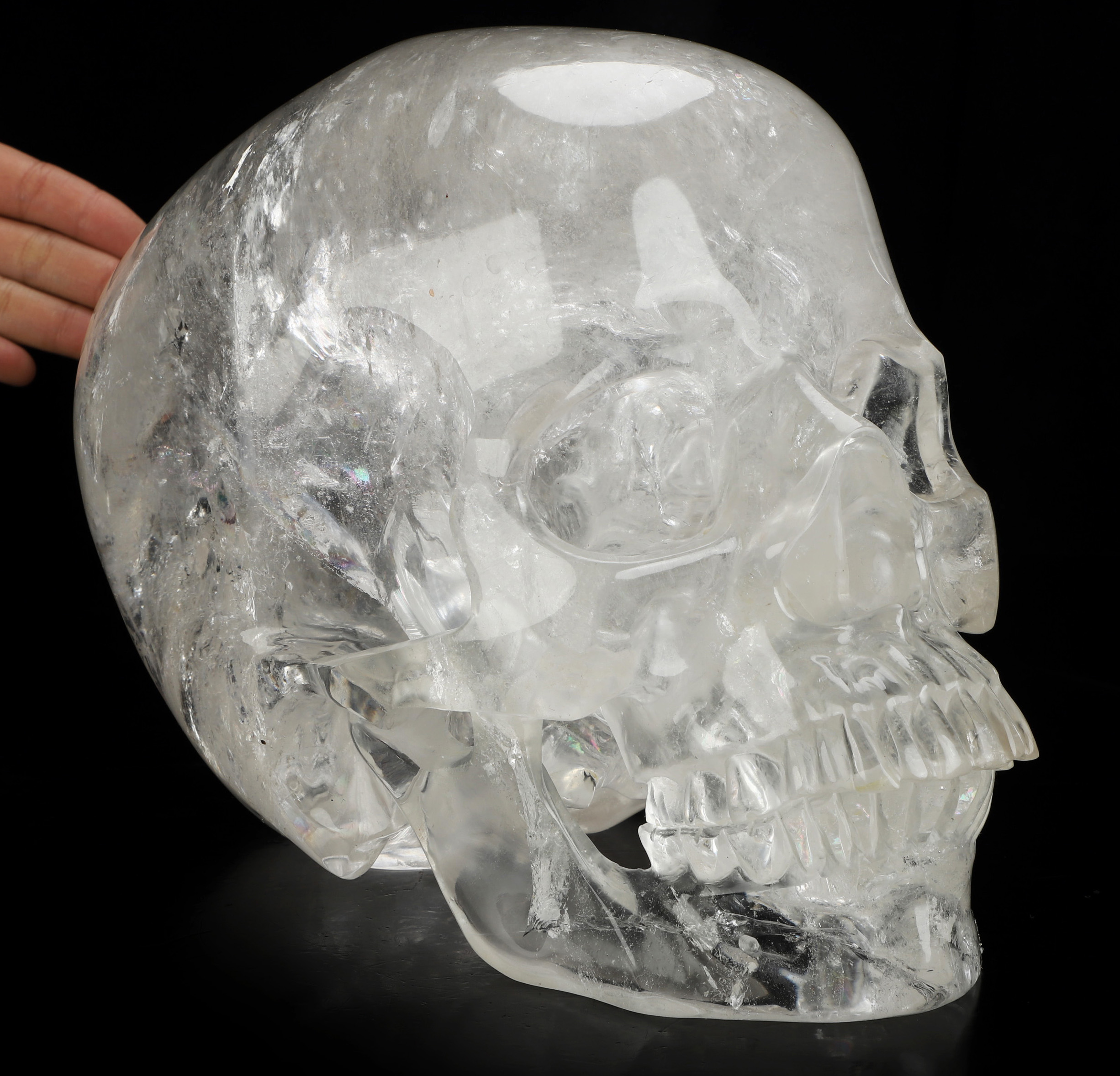 28.5LB Titan 11.0" Quartz Rock Crystal Hand Carved Crystal Skull, Super Realistic, Crystal Healing