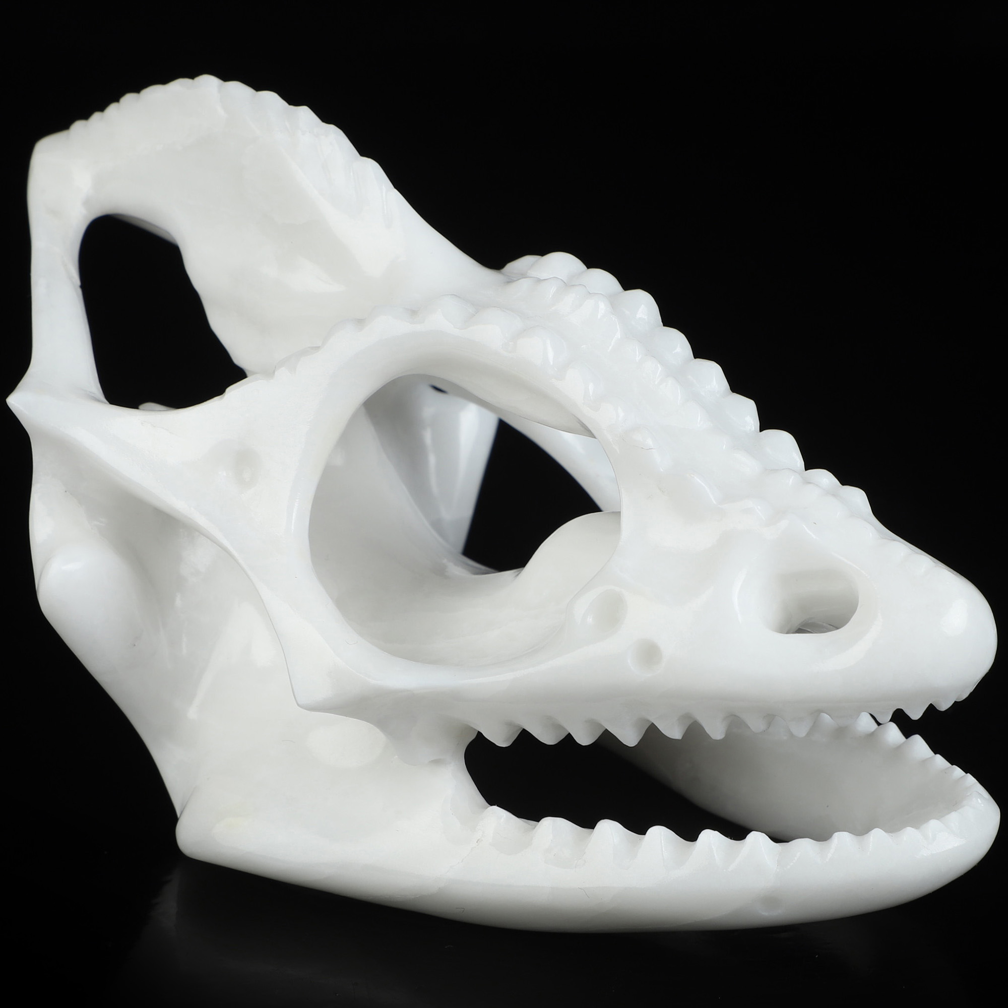 5.4" White Jade Hand Carved Tyrannosaurus/Dinosaur Crystal Skull Sculpture, Crystal Healing