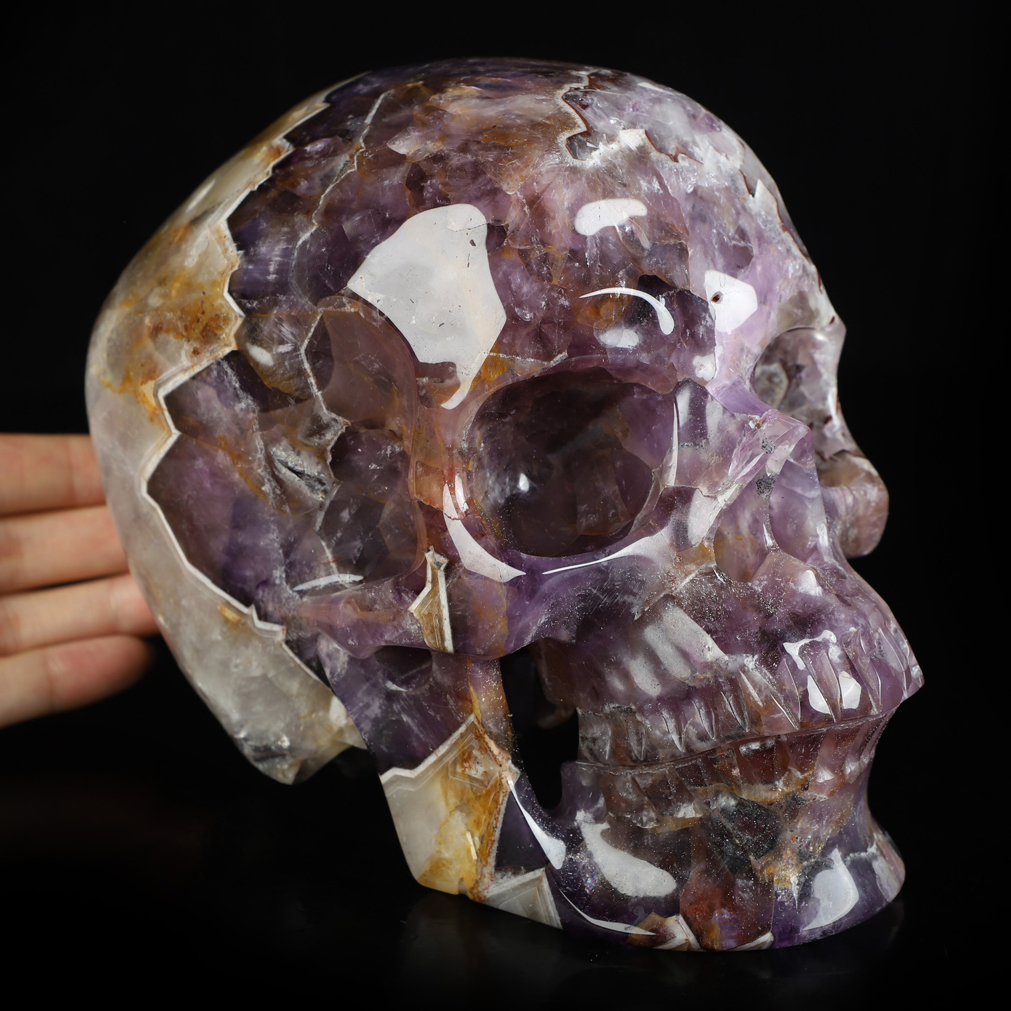 Lifesized 6.7" Dream Chevron Amethyst Hand Carved Crystal Skull, Super Realistic, Crystal Healing