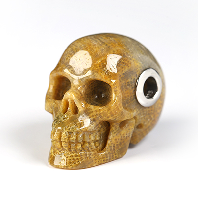Necklace of 1.1" Coral Fossil Hand Carved Crystal Skull Pendant, Skull Jewelry