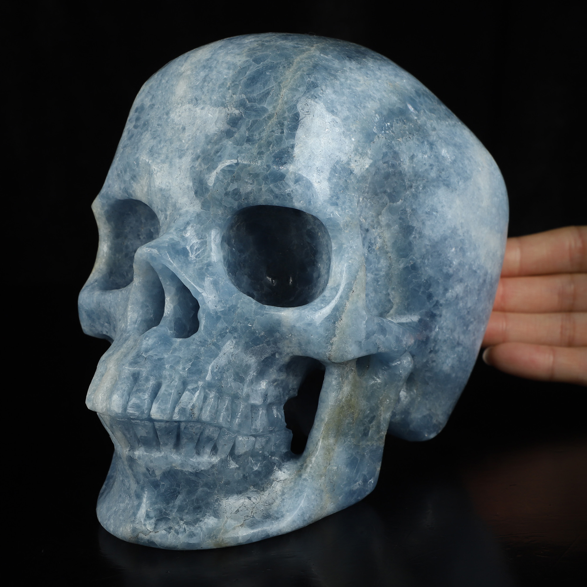 Lifesized 6.8" Blue Calcite Hand Carved Crystal Skull, Super Realistic, Crystal Healing
