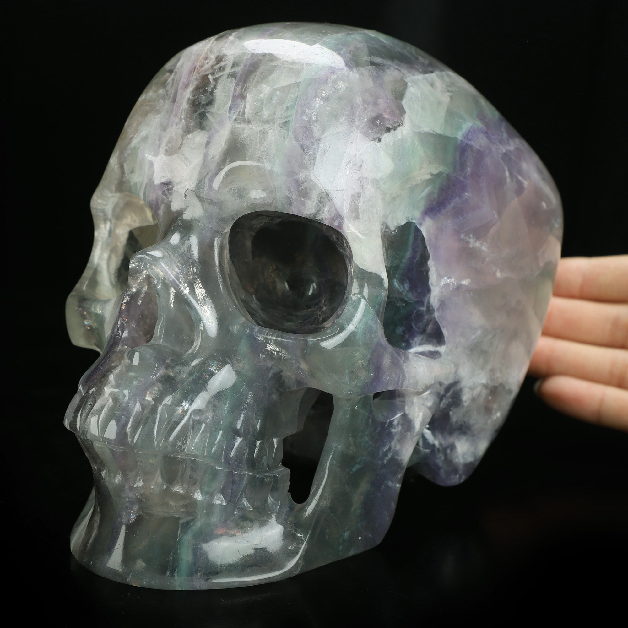 Lifesized 6.9" Fluorite Hand Carved Crystal Skull, Super Realistic, Crystal Healing