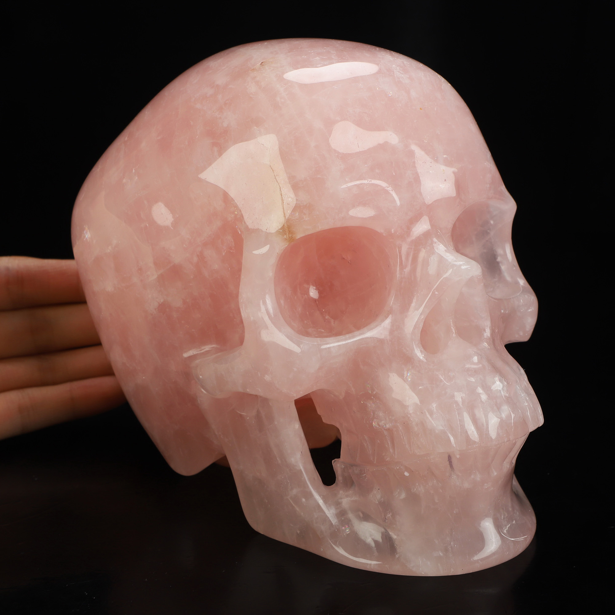 Lifesized 6.8" Rose Quartz Hand Carved Crystal Skull, Super Realistic, Crystal Healing