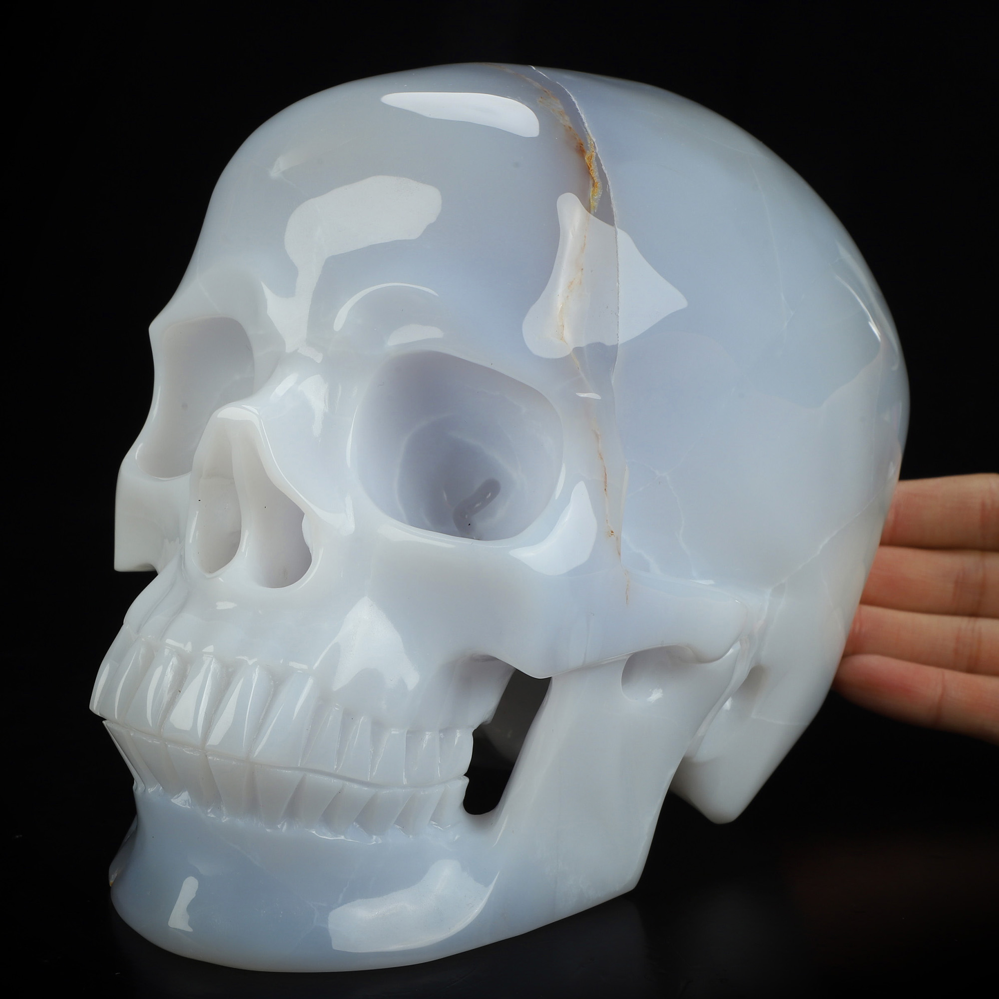 Lifesized 7.3" Blue Chalcedony Hand Carved Crystal Skull, Super Realistic, Crystal Healing