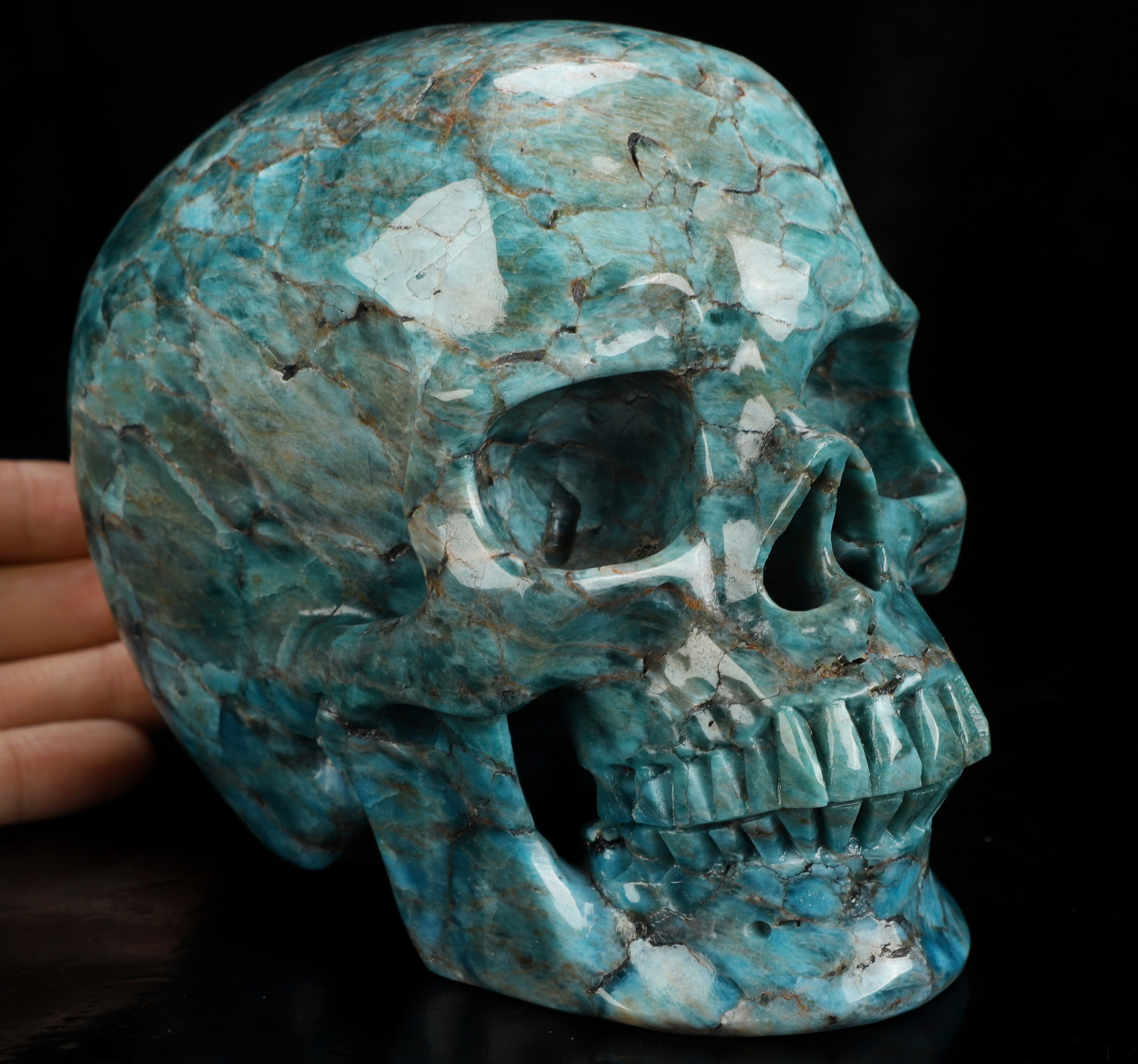 Lifesized 5.5" Blue Apatite Hand Carved Crystal Skull, Super Realistic, Crystal Healing