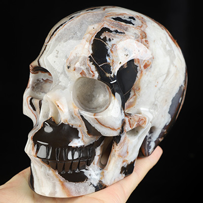 4.9" Black Zebra Agate Hand Carved Crystal Skull, Realistic, Crystal Healing