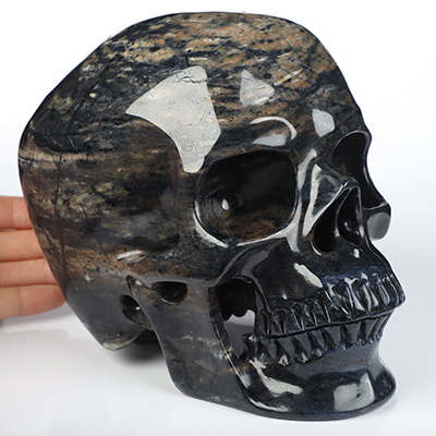 Lifesized 6.9" Royal Dumortierite Hand Carved Crystal Skull, Super Realistic, Crystal Healing