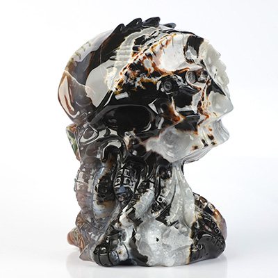 5.9" Black Zebra Agate Hand Carved Crystal Skull and Octopus Sculpture, Crystal Healing