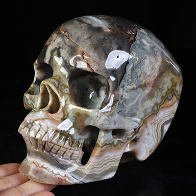 Gemstone Lifesized 5.9" Red Crazy Lace Agate Hand Carved Crystal Skull, Super Realistic, Crystal Healing