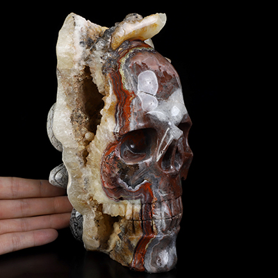 7.6" Red Crazy Lace Agate Hand Carved Crystal Skull and Snake Sculpture, Crystal Healing