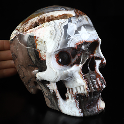 Lifesized 6.0" Red Crazy Lace Agate Hand Carved Crystal Skull, Super Realistic, Crystal Healing