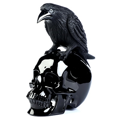 6.7" Black Obsidian Hand Carved Crystal Skull and Raven Sculpture, Crystal Healing