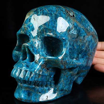 Lifesized 6.4" Blue Apatite Hand Carved Crystal Skull, Super Realistic, Crystal Healing