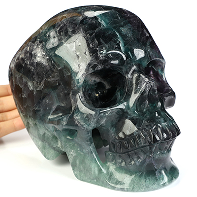 Lifesized 6.9" Fluorite Hand Carved Crystal Skull, Super Realistic, Crystal Healing